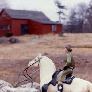 Woman/ Green Shirt/ Red Barn