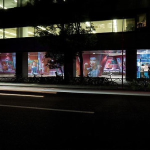 Comme des Garcons, Aoyama, Tokyo, 2009