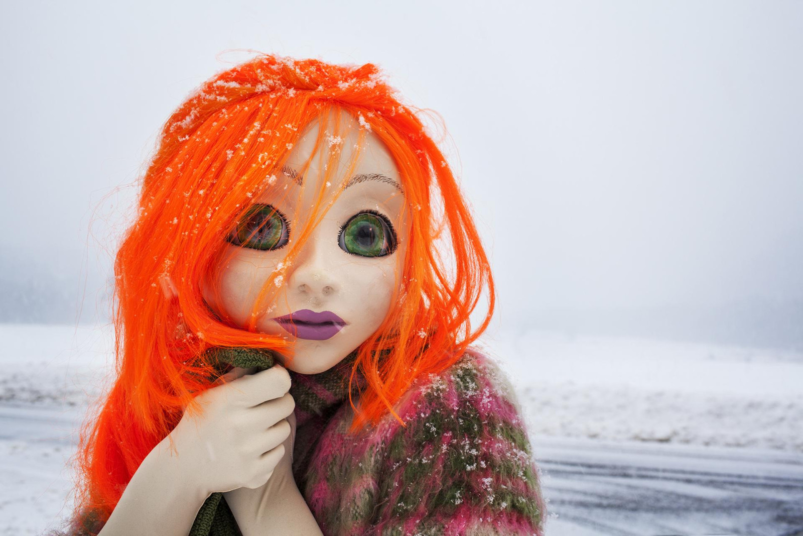 Orange Hair/Snow/Close Up, 2014